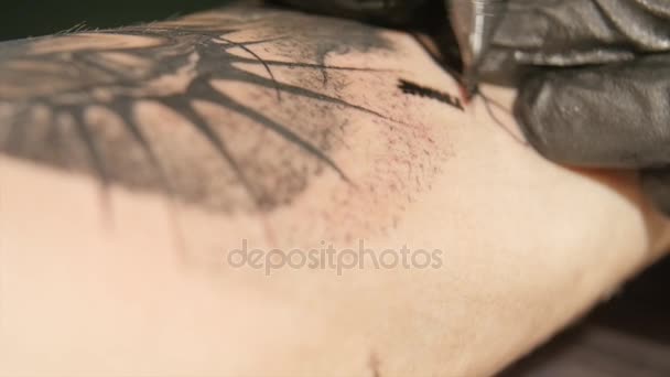 문신 예술가 문신 스튜디오에서 몸에 문신 확인 합니다. 클로즈업. — 비디오