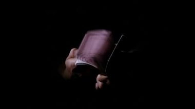 Adam dolar sayar. Para mens elinde. Bir adam elinde bin dolar tutar. Çalışanın ücret peşin aldı. Beklenmeyen kazanmak. Yapılan işin bedeli. O parayla sallıyor