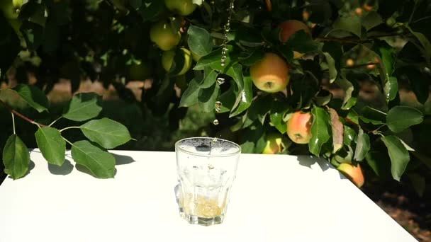 Jugo de manzana en el fondo del cultivo de manzanas — Vídeo de stock