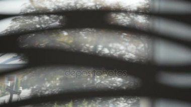 Yarı kapalı panjurları penceresinde aracılığıyla güneş parlıyor