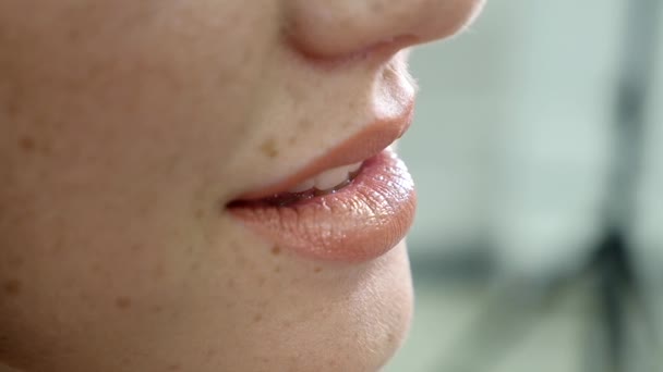 特写的看法, 一个专业的化妆师应用口红在模特的嘴唇在美容时尚行业工作。特写镜头的艺术家手使用特殊的画笔。慢动作 — 图库视频影像