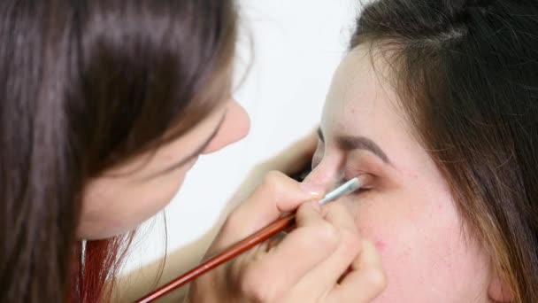 Make-up artist stosowania makijażu rzęs do modeli oko. Widok z bliska — Wideo stockowe