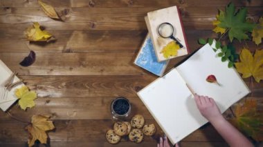 Sonbahar konsepti üstten görünüm. Kitaplar, akçaağaç yaprakları, eski ahşap tabloda çay. Not defterinde yazma kadın
