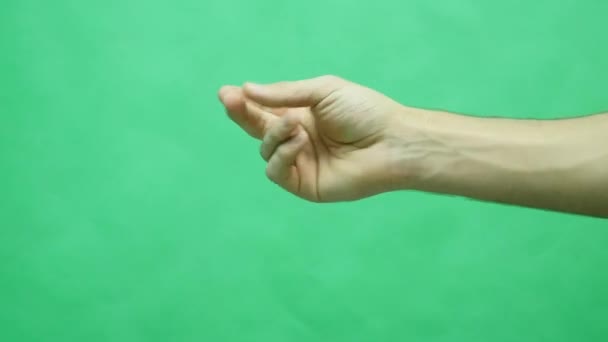 Conjunto de gestos de la mano, que muestra los usos de la pantalla táctil del ordenador, tableta, trackpad. 4K con pantalla verde. tecnología moderna — Vídeo de stock
