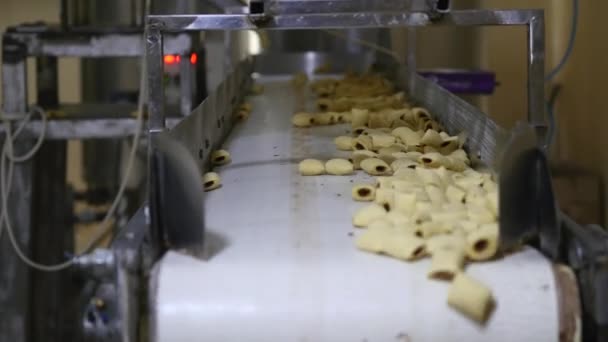 Produktion von Snacks und Keksen in der Fabrik — Stockvideo
