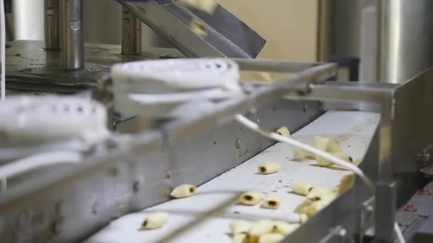 Σνακ και μπισκότα παραγωγής στο εργοστάσιο — Αρχείο Βίντεο