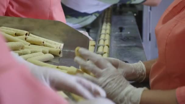 Emballage des aliments par les travailleurs - biscuits dans des conteneurs, des emballages. Distributeurs et épiceries — Video