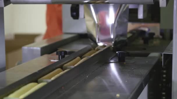 Виробництво закусок і печива на заводі — стокове відео