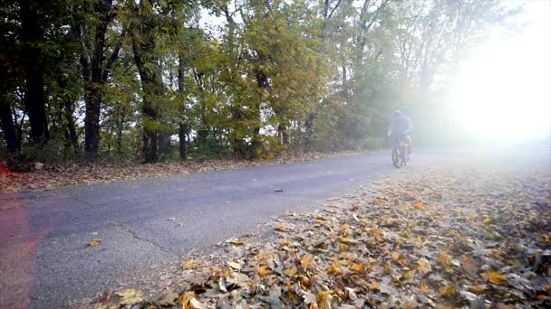 Junger Mann, der an einem Herbsttag Fahrrad fährt. Sonnenlicht. Zeitlupe — Stockvideo