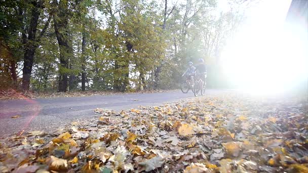 Una mujer y un hombre montando en bicicleta un día de otoño. Fondo de luz solar. cámara lenta — Vídeo de stock