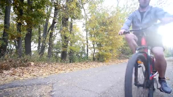 女と男の秋の一日、自転車に乗って。日光の背景。スローモーション — ストック動画