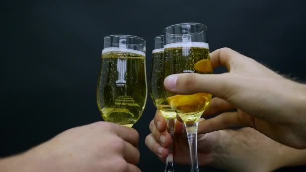 와인 홀 짝 와인잔 부딪치는 데 친구 정교한 저녁 식사 파티 휴가 휴가 여행 생일 축 하 축제 개념 — 비디오