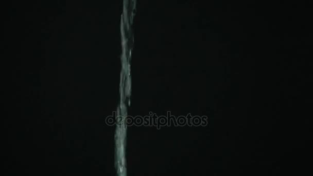 Champagne with bubbles poured into a glass on black background — Stock Video