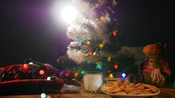 Christmas Holiday achtergrond, Kerstmis tabelachtergrond met versierde kerstboom en slingers. Lege Wintersport Kamer — Stockvideo