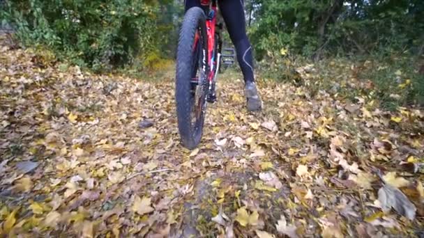 Zár megjelöl szemcsésedik-ból fiatal nő a kerékpár az őszi parkban. lassú mozgás — Stock videók