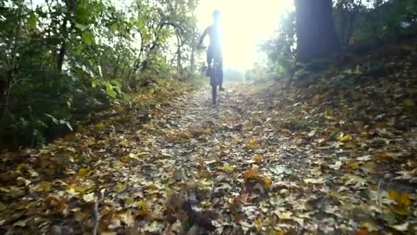 Una mujer con una bicicleta un día de otoño. Fondo de luz solar. cámara lenta — Vídeo de stock