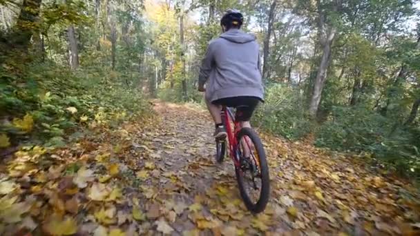 森の過去の自転車の男の乗り物。森の過去の自転車の男の乗り物。スローモーション — ストック動画