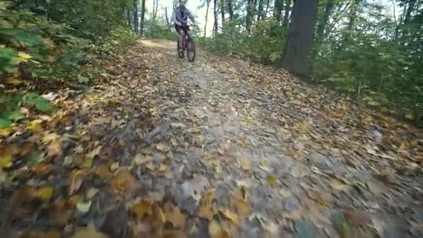 Man on bicycle rides past in forest. Man on bicycle rides past in forest. slow motion — Stock Video