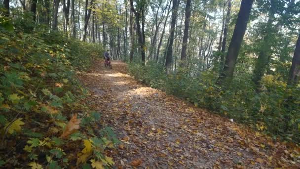Fiatal férfi-egy kerékpár, az őszi parkban — Stock videók