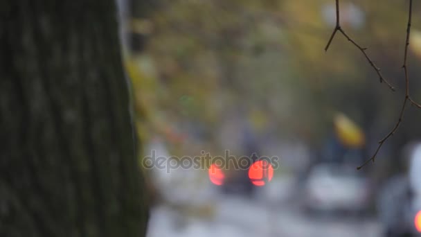 Auto vanno sulla strada in città. focus selettivo — Video Stock