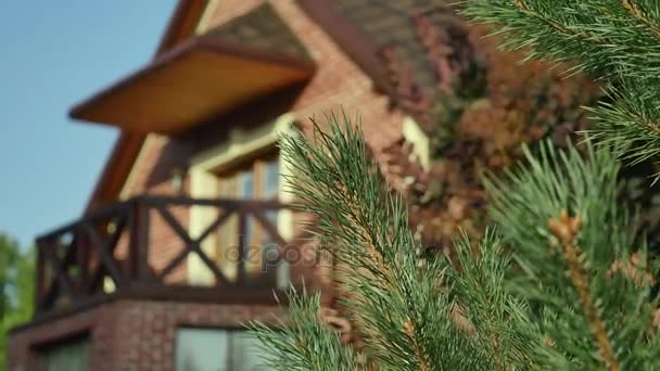 Долли дома из-за дерева — стоковое видео