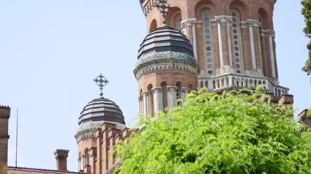 Chernivtsi National University campus view — Stock Video