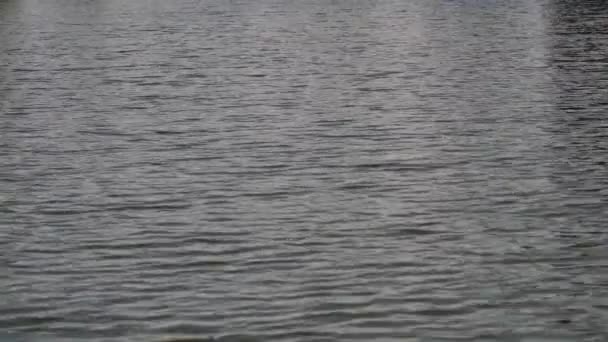 关闭宁静的蓝色水的湖 — 图库视频影像