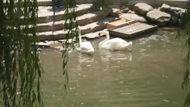 Yakın çekim yapay şelale Park, temiz su taş adımları çalışır