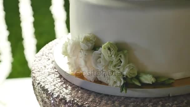 Close Up White Wedding cake — Wideo stockowe