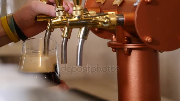 Barman vierte cerveza en el pub — Vídeo de stock