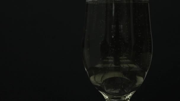 Bicchiere di champagne con bolle isolate su sfondo nero — Video Stock