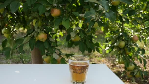 苹果汁在苹果生长的背景 — 图库视频影像