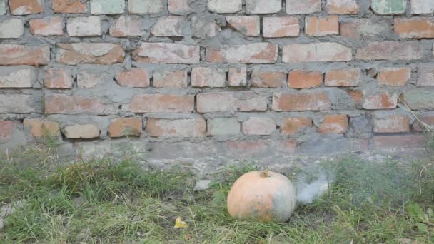 Πορτοκαλί κολοκύθα βίαια εκρήγνυται μετά από να χτυπηθεί από ένα τουφέκι υψηλής ισχύος — Αρχείο Βίντεο