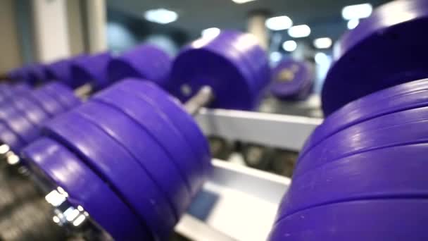 Φως σύγχρονο γυμναστήριο. Αθλητικά μηχανήματα στο γυμναστήριο. Barbells διαφορετικό βάρος σε ράφι — Αρχείο Βίντεο
