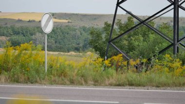 güneşli sonbahar ormandaki renkli yaprakları ile güzel ağaç. doğal arka plan