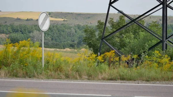 güneşli sonbahar ormandaki renkli yaprakları ile güzel ağaç. doğal arka plan