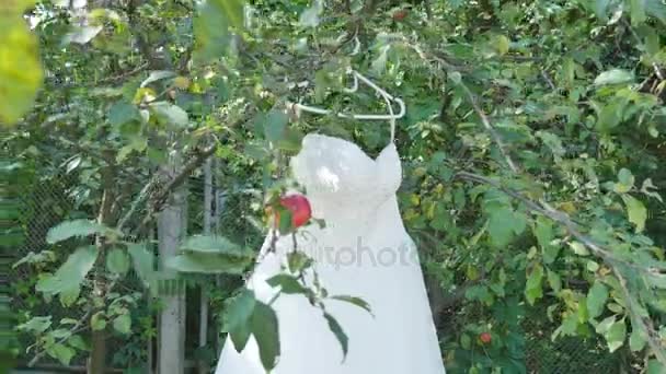 緑の木、木の枝からぶら下がっている白い花嫁介添人ドレスに掛かっている白いウェディング ドレス — ストック動画