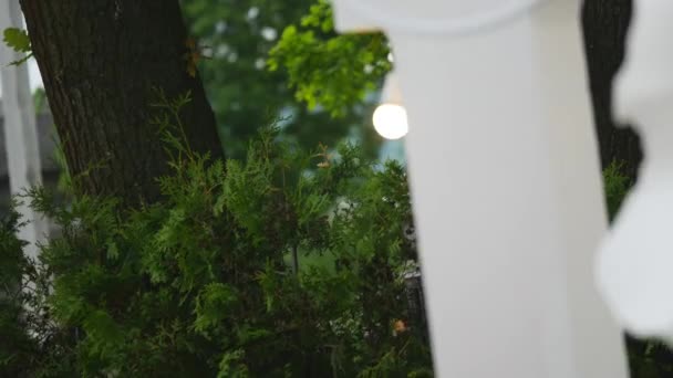 Wedding Flower Arch Dekoration. Hochzeitsbogen mit Blumen geschmückt — Stockvideo