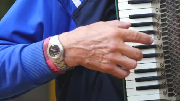 Chernivtsi, Ukraine - 12.10.2017 : Man playing accordion in park. close up — Stock Video