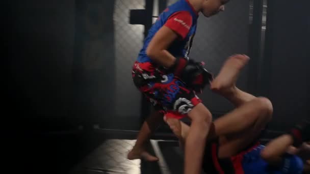 Niños durante el entrenamiento de karate. Artes marciales. Deporte, concepto de estilo de vida activo — Vídeos de Stock