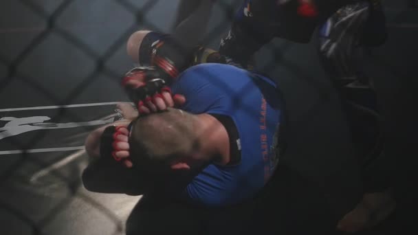19.09.2017 - Tjernivtsi, Ukraina. MMA fighters spar i en boxning bur — Stockvideo