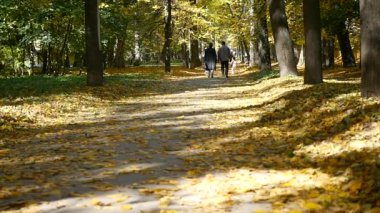 Mutlu bir aile olan park lane bir sonbahar gününde yürüyüş. ağır çekim