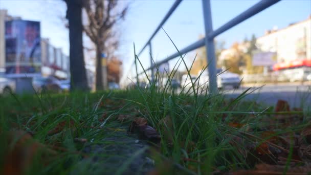 Menschen überqueren die Straße. Überfüllter Fußgängerüberweg. Stadtleben. Zeitenfinsternis — Stockvideo