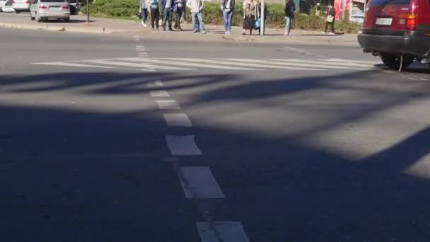 Gente cruzando la calle. Crosswalk lleno de gente. Vida en la ciudad. lipse de tiempo — Vídeo de stock