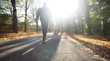 Sonbahar parkta bir Husky ile yürüyen bir adam. ağır çekim