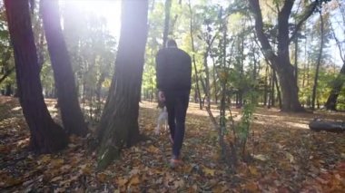 Sonbahar parkta bir Husky ile yürüyen bir adam. ağır çekim