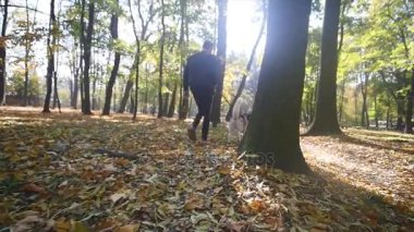 Sonbahar parkta bir Husky ile yürüyen bir adam. ağır çekim