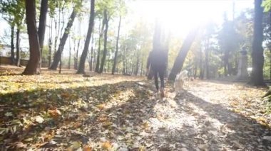 Sonbahar parkta bir Husky ile yürüyen bir adam. ağır çekim