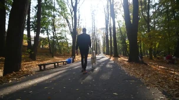 Un hombre caminando con un Husky en el parque de otoño. cámara lenta — Vídeos de Stock