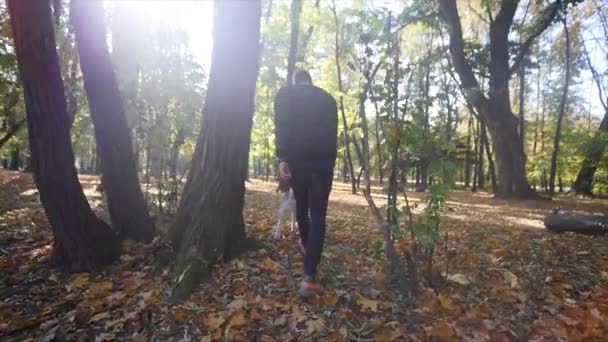Ένας άνθρωπος περπατώντας με έναs σκύλος χάσκεϋ στο πάρκο φθινόπωρο. αργή κίνηση — Αρχείο Βίντεο